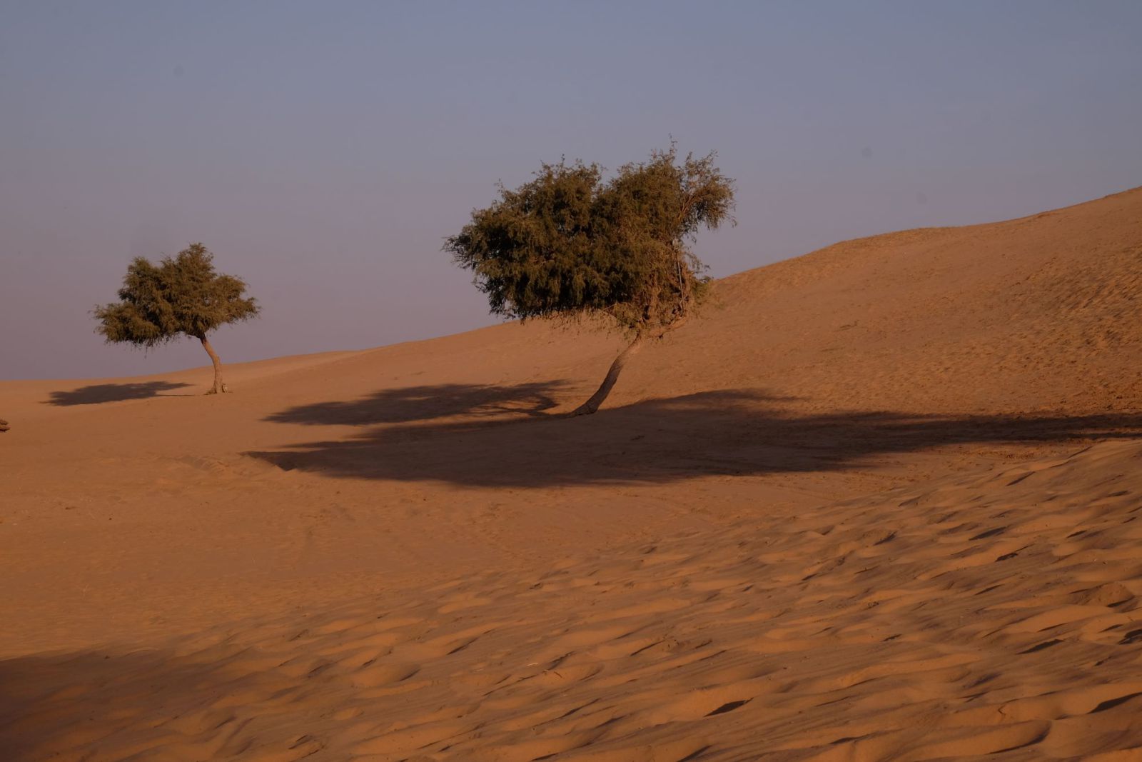 Beautiful Sunset in Rajasthan Desert